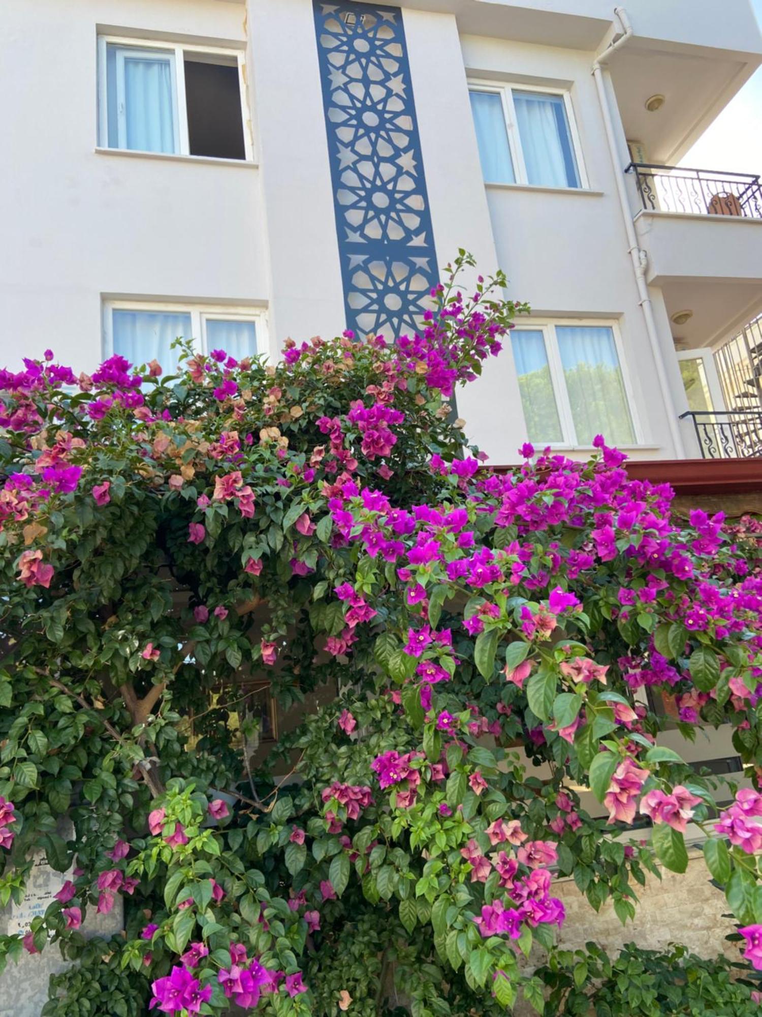Serenity Suites Hotel Antalya Bagian luar foto